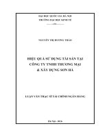 Hiệu quả sử dụng tài sản tại công ty TNHH thương mại và xây dựng sơn hà 