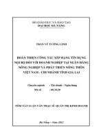 tóm tắt Hoàn thiện công tác xếp hạng tín dụng nội bộ đối với doanh nghiệp tại Ngân hàng Nông nghiệp và Phát triển Nông thôn Việt Nam - Chi nhánh tỉnh Gia Lai