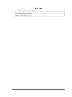 Hoàn thiện hoạt động marketing của công ty trách nhiệm hữu hạn winmark việt nam 