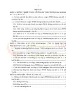 tình hình hoạt động kinh doanh công ty tnhh thương mại dịch vụ và du lịch tây hồ 