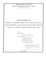 Khảo sát phương pháp xử lí tăng khả năng hấp thu các ion kim loại nặng trong nước của khoáng bentonite việt nam 