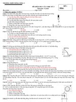 DE KIEM TRA GIUA KY II 