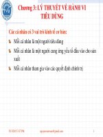 bài giảng kinh tế vi mô chương 3