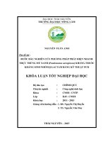 Bước đầu nghiên cứu phương pháp phát hiện nhanh trực trùng mủ xanh (pseudomonas aeruginosa) kháng thuốc kháng sinh nhóm β lactam bằng kỹ thuật PCR  