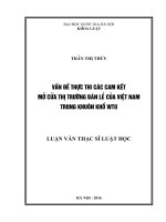 Vấn đề thực thi các cam kết mở cửa thị trường bán lẻ của việt nam trong khuôn khổ WTO 