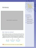 Ebook Introduction to general, organic and biochemistry (9th edition) Part 2