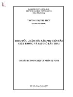 Theo dõi chăm sóc sản phụ tiền sản giật trong và sau mổ lấy thai nhi