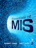 Essentials of management information systems 11e laudon