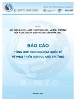 Xây dựng chiến lược phát triển dịch vụ môi trường đến năm 2020 và định hướng đến năm 2030
