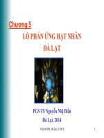Bài giảng Chương 5 Lò phản ứng hạt nhân Đà Lạt  PGS.TS Nguyễn Nhị Điền