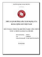 Tiểu luận Đường lối cách mạng của Đảng Cộng sản Việt Nam Phân tích quá trình CNH-HĐH nông nghiệp, nông thôn ở nước ta trong giai đoạn sau đổi mới