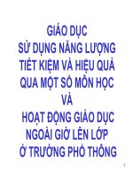 Sử Dụng Năng Lượng Tiết Kiệm Và Hiệu Quả Qua Một Số Môn Học Và Hoạt Động Giáo Dục Ngoài Giờ Lên Lớp Ở Trường Phổ Thông