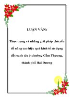 Thực trạng và những giải pháp chủ yếu để nâng cao hiệu quả kinh tế sử dụng đất canh tác ở phường Cẩm Thượng, thành phố Hải Dương