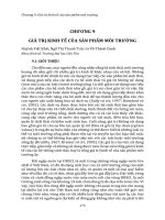 Chương 9 Giá trị kinh tế của sản phẩm môi trường