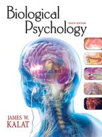 Ebook Biological psychology Part 1