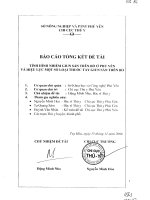 Tình hình nhiễm giun sán trên bò ở Phú Yên và hiệu lực của một số loại thuốc tẩy giun sán trên bò