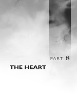 Ebook Evidence based physical diagnosis (3rd edition) Part 2