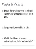 Lecture AP Biology  Chapter 17 From gene to protein