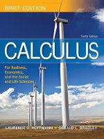 Ebook Calculus (10th edition) Part 1