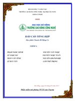phần mềm mô phỏng TCCS trên toyota