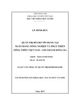 Quản trị rủi ro tín dụng tại Ngân hàng Nông nghiệp và phát triển nông thôn Việt Nam  Chi nhánh Đống Đa