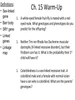 Lecture AP Biology  Chapter 15 Chromosomal basis of inheritance
