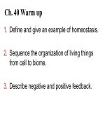 Lecture AP Biology  Chapter 40 Basic principles of animal form and function