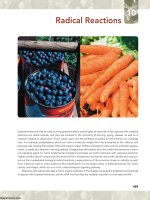 Ebook Organic chemistry (10th edition) Part 2