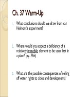 Lecture AP Biology  Chapter 37 Plant nutrition