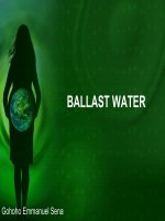 Lecture Marine environmental studies  Topic Ballast water