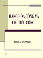 Bài giảng HÀNG HÓA CÔNG VÀ CHI TIÊU CÔNG