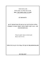 Quản trị rủi ro tín dụng tại ngân hàng nông nghiệp và phát triển nông thôn việt nam   chi nhánh đống đa tt