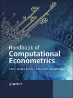 Handbook of computational econometrics