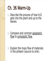 Lecture AP Biology  Chapter 36 Resource acquisition and transport in vascular plants