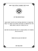 Khai thác nguồn gen ngô địa phương và nhập nội phục vụ chọn tạo giống ngô nếp lai thích ứng với điều kiện canh tác tỉnh Lào Cai