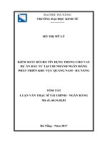 KIỂM SOÁT RỦI RO TÍN DỤNG TRONG CHO VAY DỰ ÁN ĐẦU TƯ TẠI CHI NHÁNH NGÂN HÀNG PHÁT TRIỂN KHU VỰC QUẢNG NAM  ĐÀ NẴNG