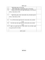 MỘT số vấn đề nổi bật của NGHỆ THUẬT QUÂN sự VIỆT NAM từ THẾ kỷ x đến THẾ kỷ XVIII