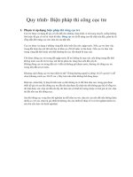 38  quy trình  biện pháp thi công cọc tre