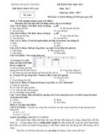 Kiem tra hoc ki 1 tin 7