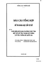 Khái niệm nội dung phương pháp tính một số chỉ tiêu trong hệ thống chỉ tiêu thống kê quốc gia - Tài liệu, ebook, giáo trình