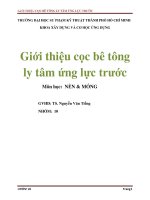 Tiểu luận Giới thiệu cọc bê tông ly tâm ứng lực trước