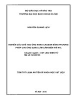 Nghiên cứu chế tạo ống nano cacbon bằng phương pháp CVD ứng dụng làm cảm biến khí NH3