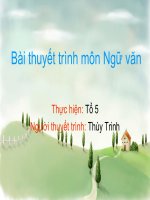 Giới Thiệu Một Danh Lam Thắng Cảnh Ở Quê Hương Em - Thuyết Trình Môn Ngữ Văn