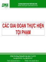 Các Giai Đoạn Thực Hiện Tội Phạm - Dong pham