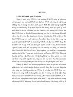 LUẬN án TIẾN sĩ   QUẢN lý, PHÁT TRIỂN đội NGŨ GIẢNG VIÊN các TRƯỜNG CAO ĐẲNG y tế TRÊN địa bàn THÀNH PHỐ hà nội HIỆN NAY