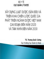Xây Dựng Luật Dược (Sửa Đổi) Và Triển Khai Chiến Lược Quốc Gia Phát Triển Ngành Dược Việt