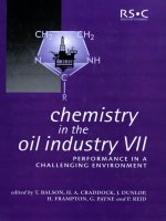 Ebook Chemistry in the oil industry VII Part 1