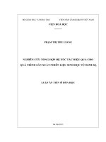 Luận án Tiến sĩ Hóa học Nghiên cứu tổng hợp hệ xúc tác hiệu quả cho quá trình sản xuất nhiên liệu sinh học từ rơm rạ