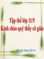 Bài giảng Quang hợp và năng suất cây trồng