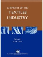 Ebook Chemistry of the textile industry Part 1
